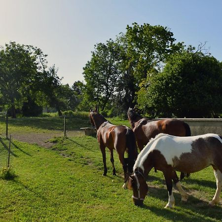 Farm Stay Zevnik Brezice Exterior photo