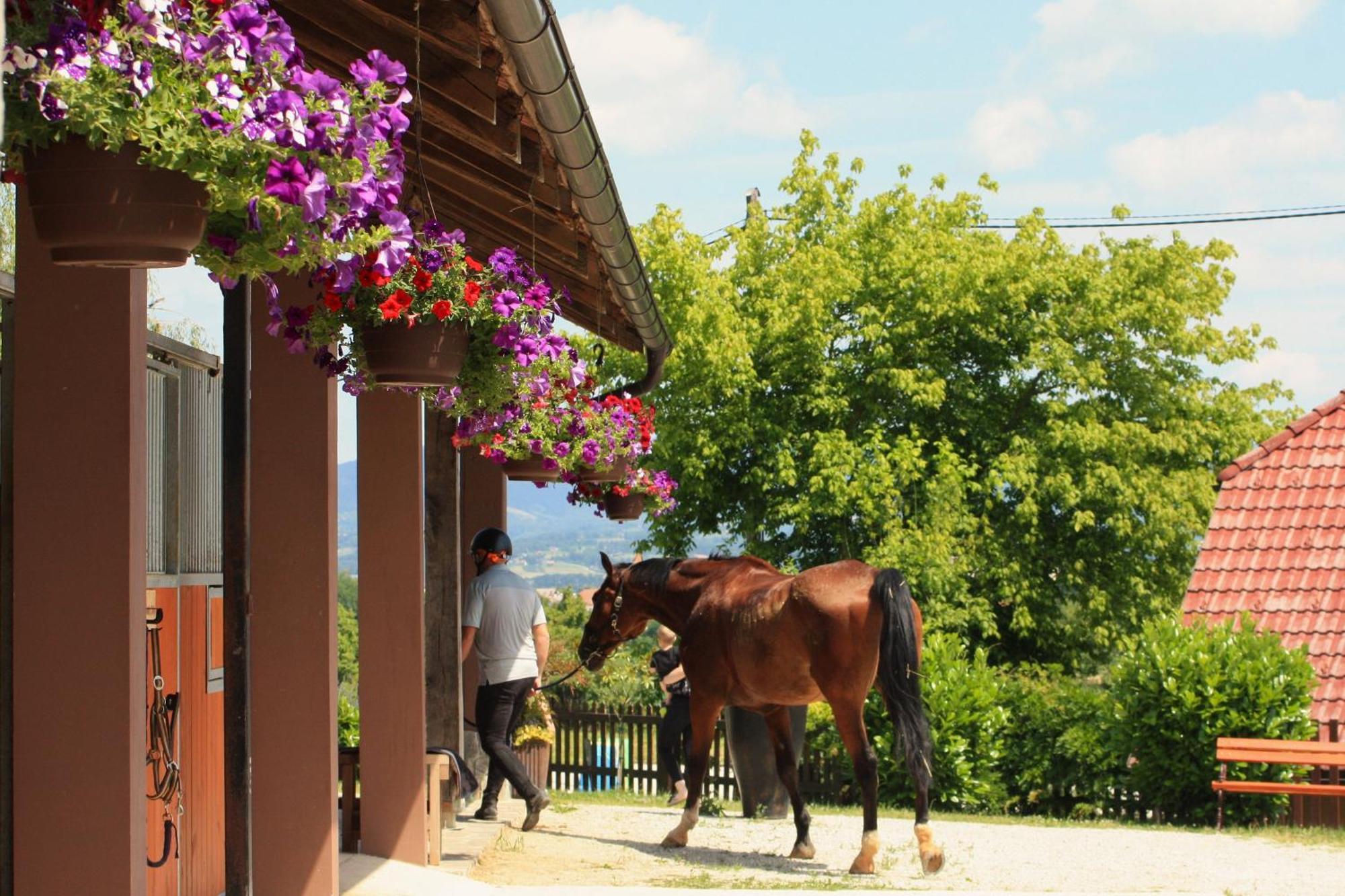Farm Stay Zevnik Brezice Exterior photo